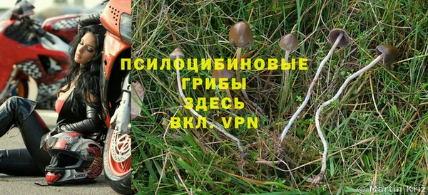 метадон Арсеньев