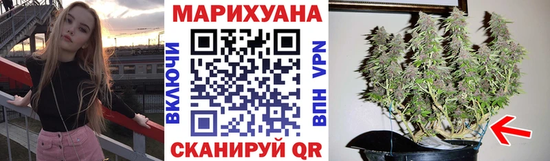 даркнет наркотические препараты Мичуринск Бошки Шишки марихуана магазин наркотиков